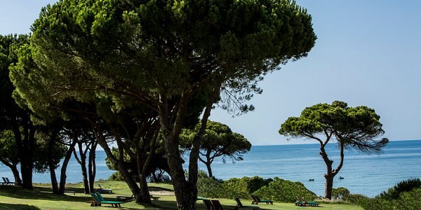 Coastal landscape at a musical destination