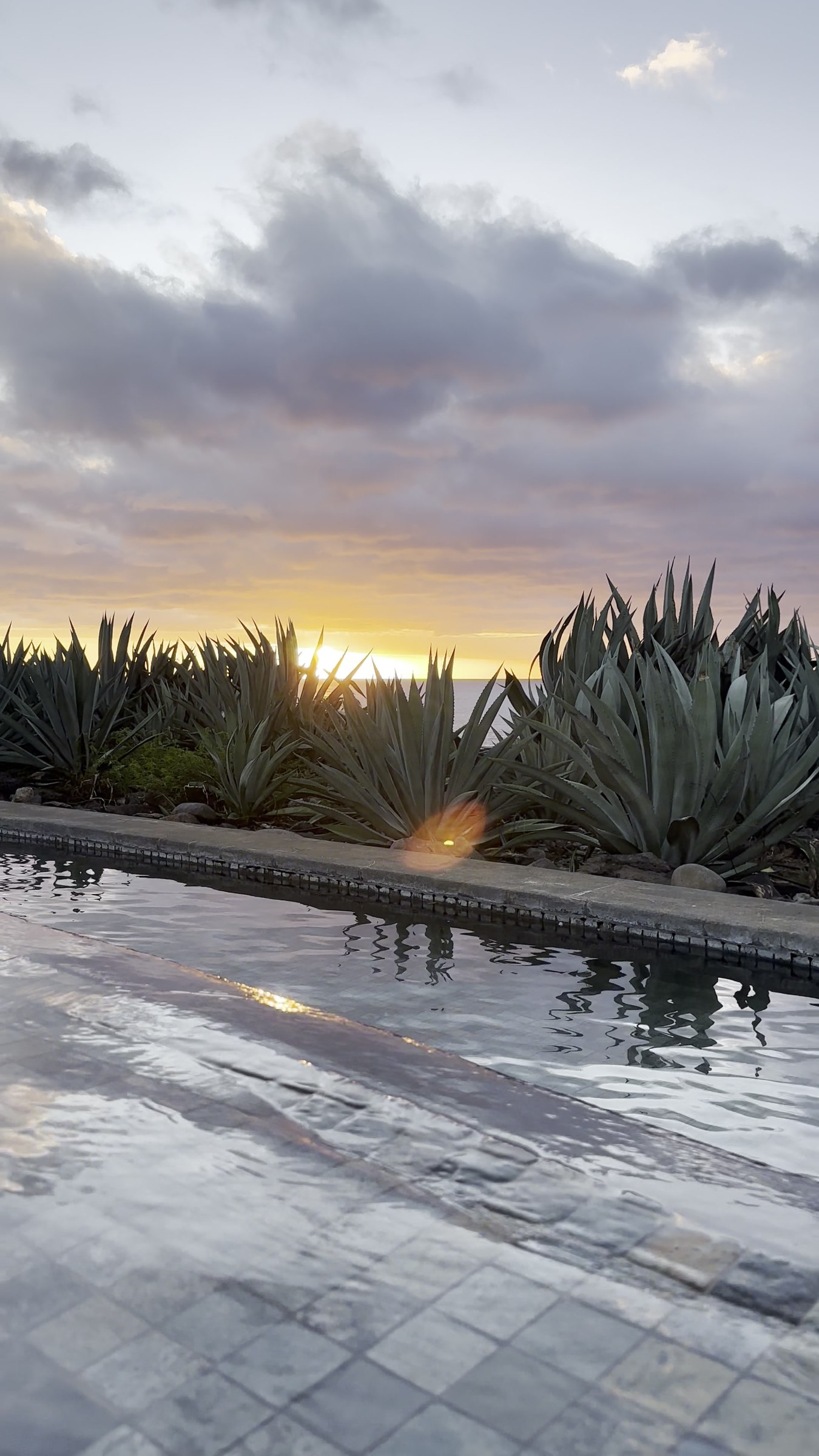Hotel terrace at sunset